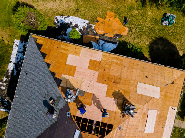 Professional Roofing Contractor in Savannah, TX
